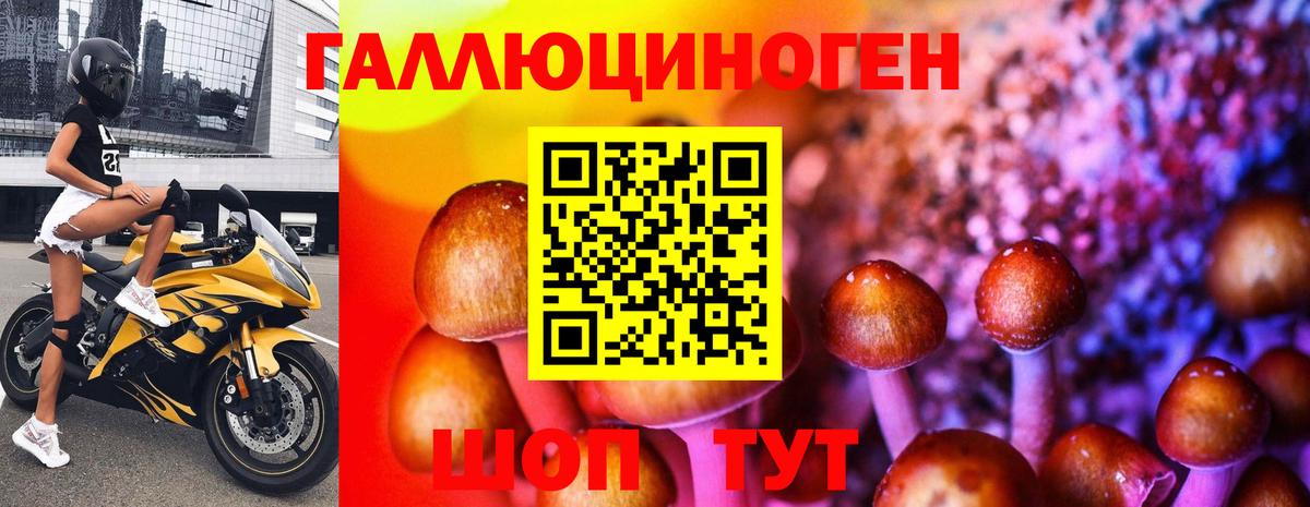 Нововоронеж  Псилоцибиновые грибы мухоморы  Вход с VPN 