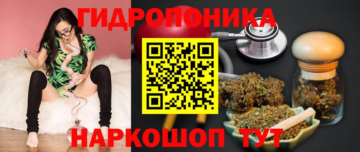 Марихуана VHQ  Вход с VPN  Конопля VHQ  Канабис семена  Нововоронеж  Конопля планчик 